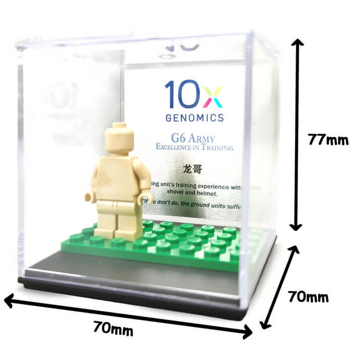 Personalized display cube case